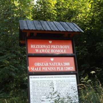 Napady zbójnickie